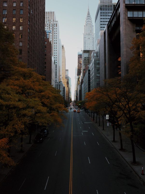 photo-1541997957-62717e8a1029